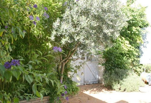 Haus 3 Zimmer Les Portes-en-ré