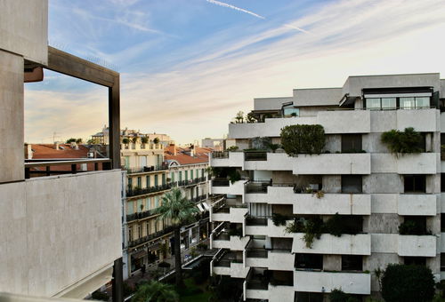 POL519 / Grand studio balcon sud