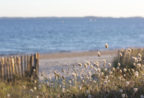 Appartement 1 chambre Carnac