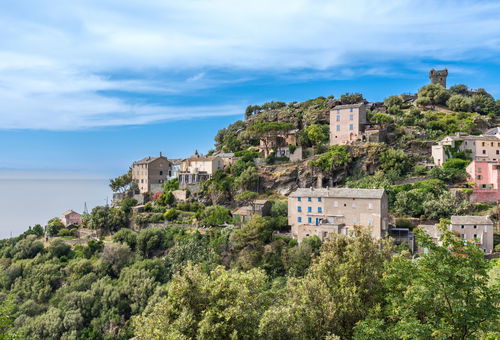 Haus 3 Zimmer Saint-florent
