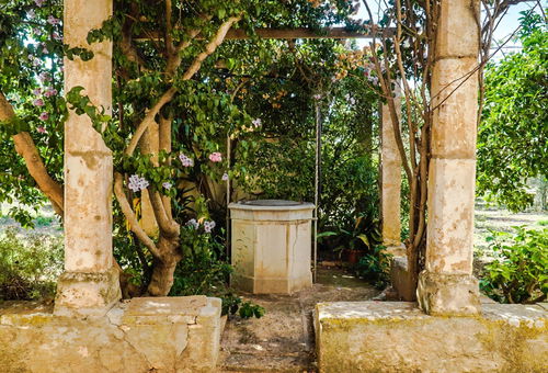 Haus 4 Zimmer Palma