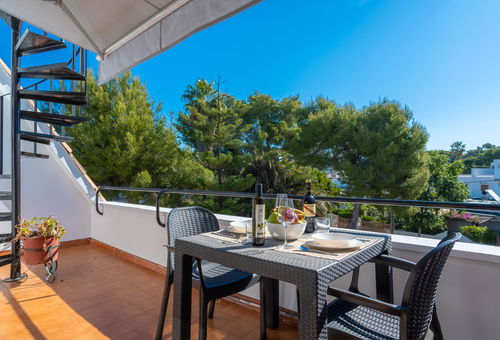 Appartement 1 chambre Port D'alcúdia