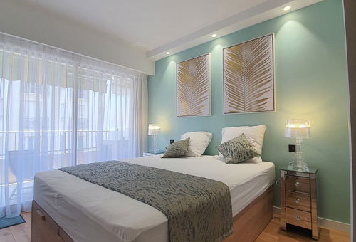 Beautiful apartment with terrace 50m from the Croisette