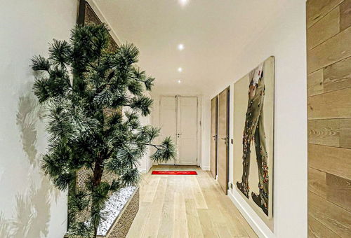 Magnificent, quiet apartment located in the heart of the city center, a...