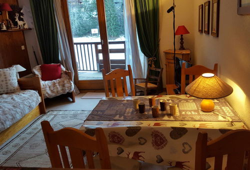 Studio next to the ski area