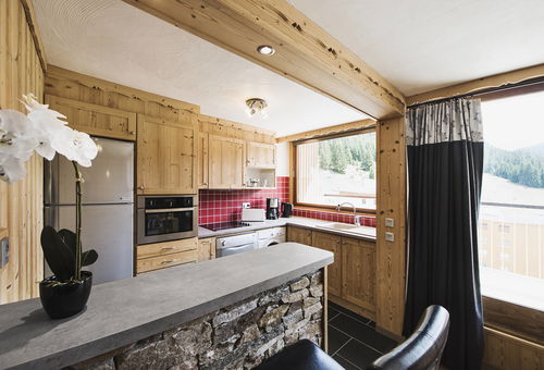 Ski In Ski Out Apartment