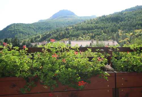 Flat for 4 people, close to shops and slopes - Chantemerle