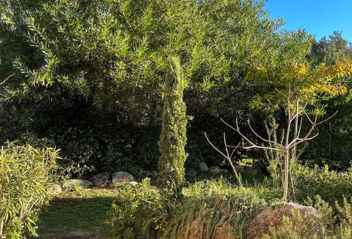 Situé dans les Hameaux de Pietragione à 80 mètres seulement de la plage de...