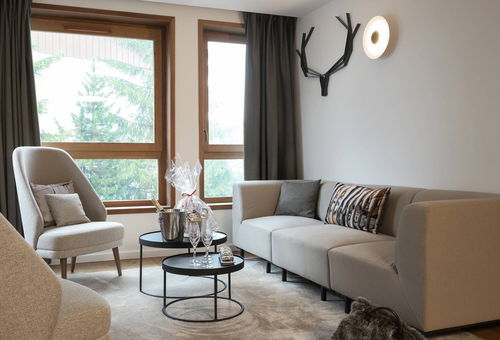 Very nice apartment ideally located near the center and close to the slopes!