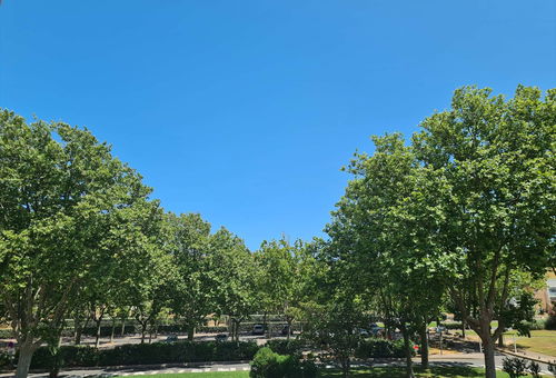 Apartment located in the port area, close to the beach and shops - Cap d'Agde