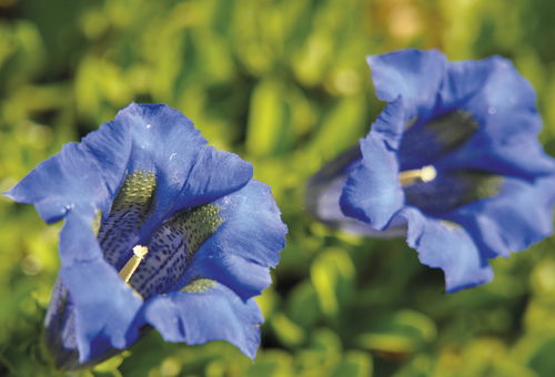 Villa 2 bedroom Valmeinier