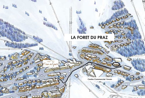 Appartement aux pieds des pistes