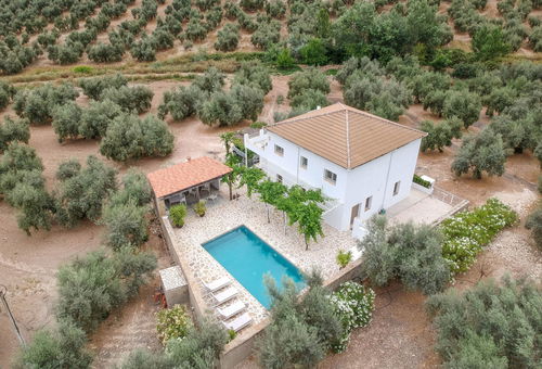 Casa Olivo