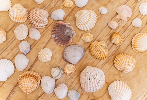 Beach accessible on foot.