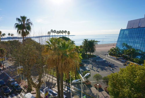 Appartement 1 chambre Cannes