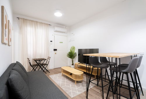 Apartment 1 bedroom Madrid