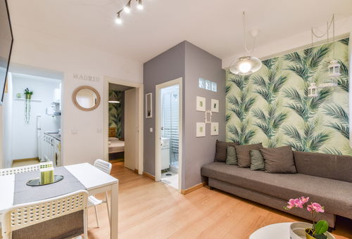 Apartment 1 bedroom Madrid