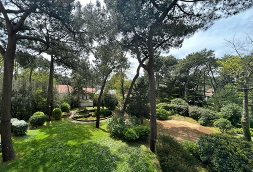 Fully renovated studio near the beach.
