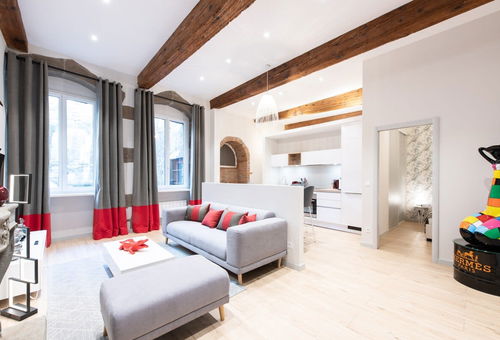 Apartment 1 bedroom Annecy