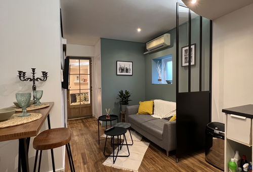 Apartment 1 bedroom Toulouse