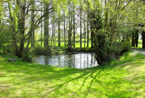 Villa 2 bedroom Savigny