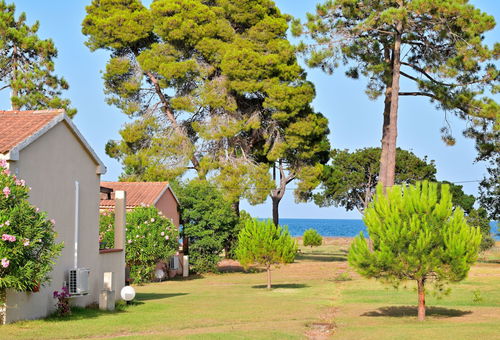 Apartment 1 bedroom San-nicolao