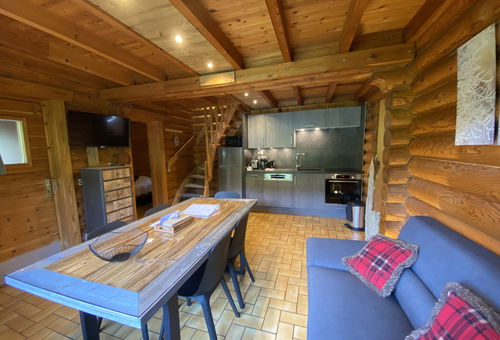 Beautiful log chalet with SPA jacuzzi in La Bresse