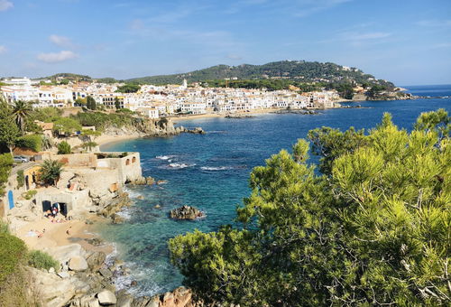 Ancora 12