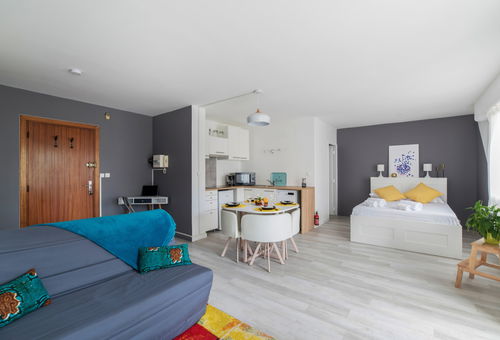 Apartment Villeurbanne