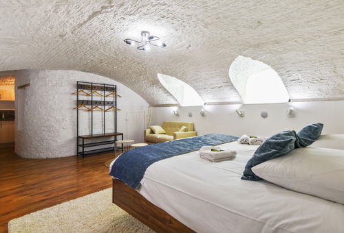 Apartment Lille