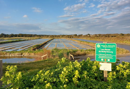 Maison 4 chambres Noirmoutier-en-l'Île