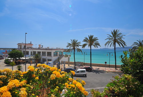 Wohnung 3 Zimmer Xàbia
