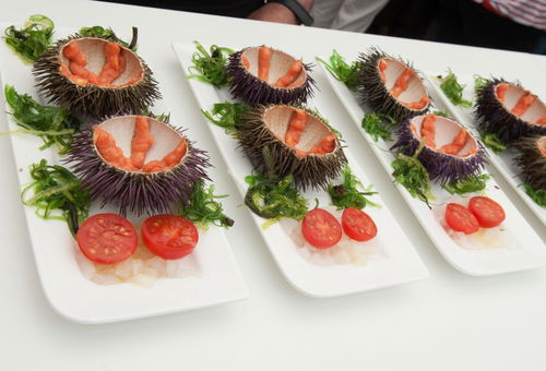 Villa 3 bedroom Begur