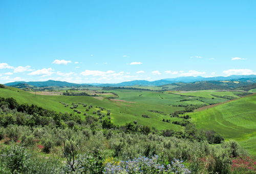 Apartment 3 bedroom Castelnuovo Di Val Di Cecina