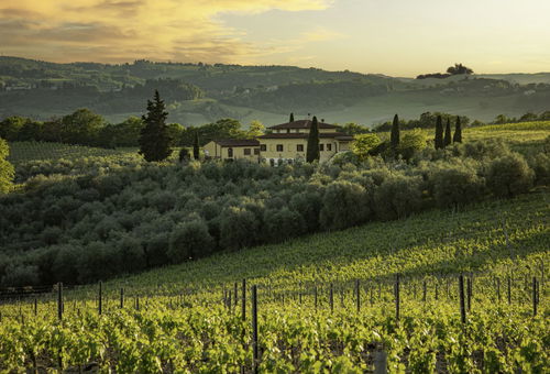 Villa 5 bedroom San Gimignano
