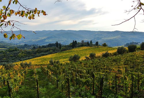 Villa 3 bedroom Greve In Chianti