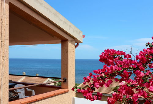 Apartment 1 bedroom Porto Corallo