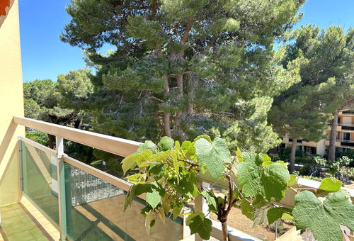 1partment a stone's throw from the center and the beaches - Bormes-les-mimosas