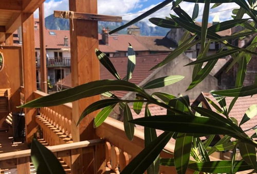 Appartement 1 chambre Annecy