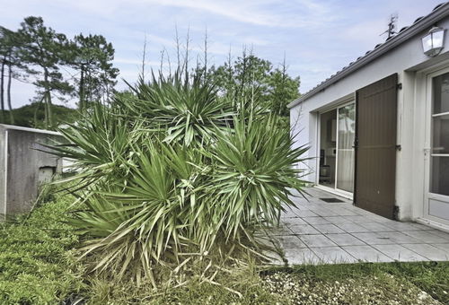 Villa 2 bedroom 