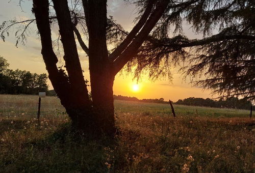 You will be delighted by the varied choice of activities: delights...