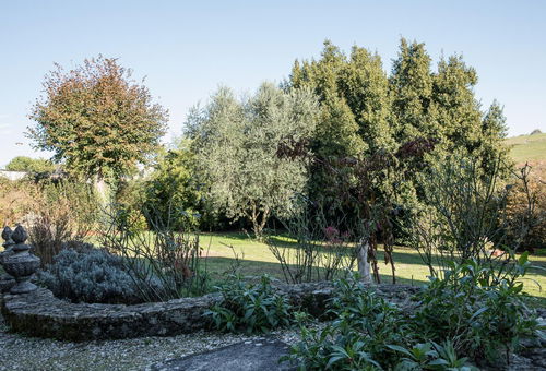 Comfortable, quiet cottage in the countryside 10 minutes from the town centre...