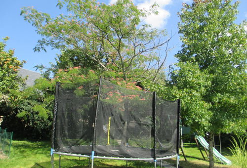 The gîte La Ferme de la Chapelle Saint Jean is made up of two pretty...