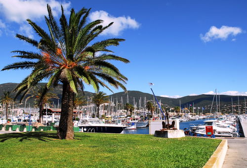 Apartment 1 bedroom Cavalaire-sur-mer