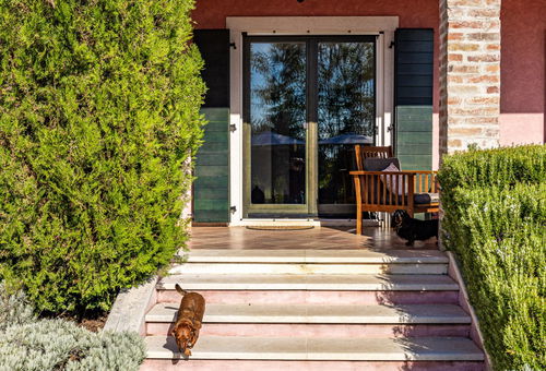 Villa Maddalena with private pool in Tinjan, Istra