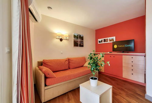 Apartment 1 bedroom Saint-raphaël