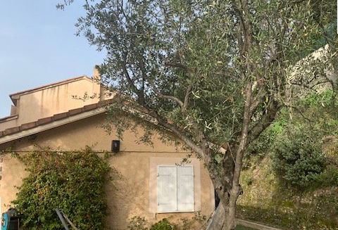 Perched in the hills above Nice, this beautiful villa is the perfect place to...