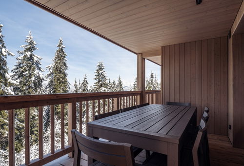 Antarès URSA 301 - luxury apartment ski in/ski out
