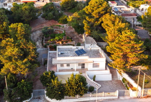 Apartment 2 bedroom Torre Vado