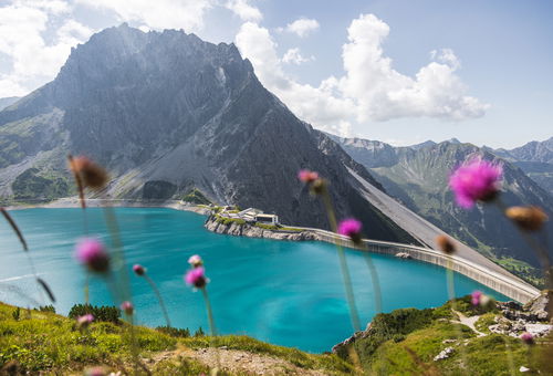 Alpenblick Appartements - Studio